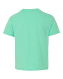 cool-mint_https://cdn.ssactivewear.com/Images/Color/52172_b_fl.jpg