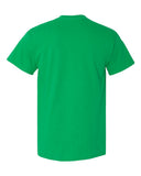 irish-green_https://cdn.ssactivewear.com/Images/Color/52279_b_fl.jpg