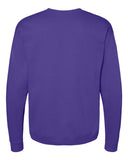 purple_https://cdn.ssactivewear.com/Images/Color/53427_b_fl.jpg