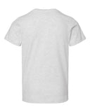 ash_https://cdn.ssactivewear.com/Images/Color/65290_b_fl.jpg