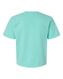 chalky-mint_https://cdn.ssactivewear.com/Images/Color/65508_b_fl.jpg