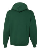 dark-green_https://cdn.ssactivewear.com/Images/Color/65787_b_fl.jpg
