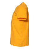 gold_https://cdn.ssactivewear.com/Images/Color/66316_d_fl.jpg