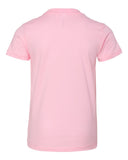 pink_https://cdn.ssactivewear.com/Images/Color/66320_b_fl.jpg