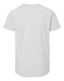 silver_https://cdn.ssactivewear.com/Images/Color/66323_b_fl.jpg