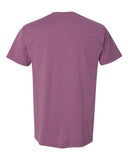 purple-plum-raisin_https://cdn.ssactivewear.com/Images/Color/66862_b_fl.jpg