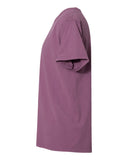 purple-plum-raisin_https://cdn.ssactivewear.com/Images/Color/66862_d_fl.jpg