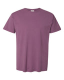 purple-plum-raisin_https://cdn.ssactivewear.com/Images/Color/66862_f_fl.jpg