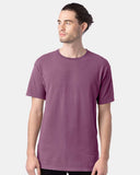 purple-plum-raisin_https://cdn.ssactivewear.com/Images/ModelColor/66862_omf_fl.jpg