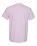 orchid_https://cdn.ssactivewear.com/Images/Color/73439_b_fm.jpg