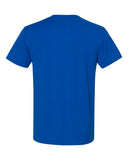 royal_https://cdn.ssactivewear.com/Images/Color/74070_b_fl.jpg