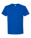 royal_https://cdn.ssactivewear.com/Images/Color/74070_f_fl.jpg