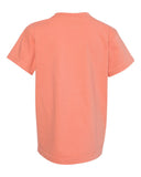 terracotta_https://cdn.ssactivewear.com/Images/Color/77128_b_fl.jpg