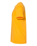 gold_https://cdn.ssactivewear.com/Images/Color/78863_d_fl.jpg