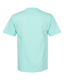 celadon_https://cdn.ssactivewear.com/Images/Color/82607_b_fl.jpg