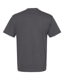 charcoal_https://cdn.ssactivewear.com/Images/Color/82608_b_fl.jpg