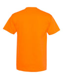 orange_https://cdn.ssactivewear.com/Images/Color/82618_b_fl.jpg