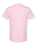 pink_https://cdn.ssactivewear.com/Images/Color/82620_b_fl.jpg