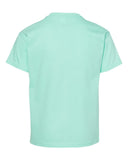 clean-mint_https://cdn.ssactivewear.com/Images/Color/83108_b_fl.jpg