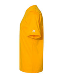 gold_https://cdn.ssactivewear.com/Images/Color/87872_d_fl.jpg