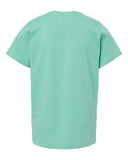 saltwater_https://cdn.ssactivewear.com/Images/Color/89653_b_fl.jpg