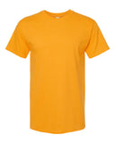 gold_https://cdn.ssactivewear.com/Images/Color/92057_f_fl.jpg