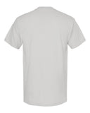 platinum_https://cdn.ssactivewear.com/Images/Color/92071_b_fl.jpg