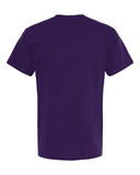 purple_https://cdn.ssactivewear.com/Images/Color/92072_b_fl.jpg