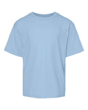 light-blue_https://cdn.ssactivewear.com/Images/Color/92175_f_fl.jpg
