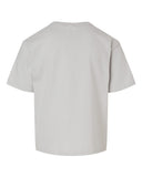 platinum_https://cdn.ssactivewear.com/Images/Color/92181_b_fl.jpg