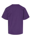 purple_https://cdn.ssactivewear.com/Images/Color/92182_b_fl.jpg