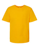 gold_https://cdn.ssactivewear.com/Images/Color/92217_f_fl.jpg