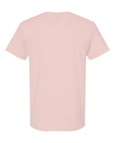 blush-pink_https://cdn.ssactivewear.com/Images/Color/95632_b_fl.jpg