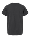 slate_https://cdn.ssactivewear.com/Images/Color/96716_b_fl.jpg