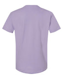 lavender_https://cdn.ssactivewear.com/Images/Color/96734_b_fl.jpg