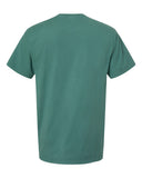 cactus_https://cdn.ssactivewear.com/Images/Color/96913_b_fl.jpg