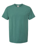 cactus_https://cdn.ssactivewear.com/Images/Color/96913_f_fl.jpg