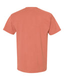 clay_https://cdn.ssactivewear.com/Images/Color/96928_b_fl.jpg