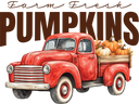 Fall - Pumpkins