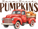 Fall - Pumpkins