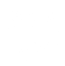 Football - 5