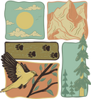 Nature 8