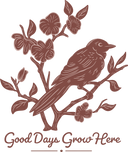 Nature 5
