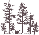 Nature 4