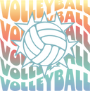 Volleyball - 3