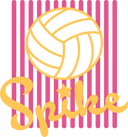 Volleyball - 5