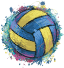 Volleyball - 8